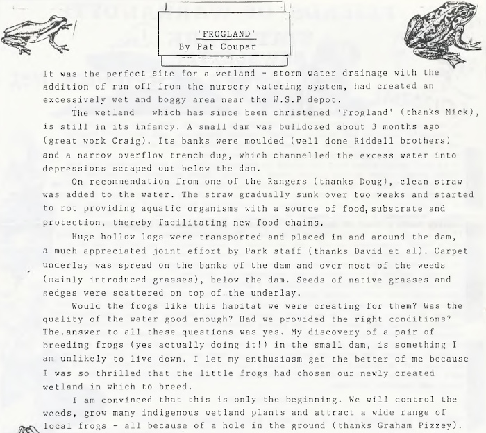 September 1992 - Frogland